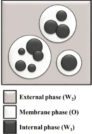 Fig. 1. The structure of double emulsions a) with single internal drops, b)  with many internal drops