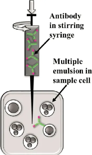 Fig. 4. The ITC sample cell filled with multiple emulsion and the stirring  syringe filled with the suspension of the antibody