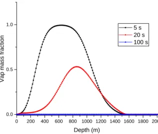 Fig. 11. Vapour mass fraction of CO 2 stream at different well depths.