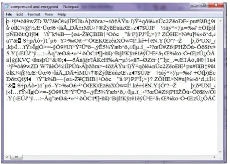 Fig 7: Compressed & Encrypted text file