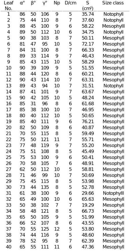 Table 2 Percentage ratio, angular measurements, other measurements