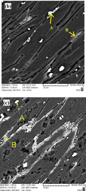 Fig. 4. The optical microscopy image of extruded alloys at different  temperatures, extruded alloy at (a) 300, (b) 330 and (c) 370°C