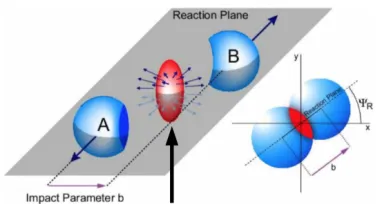 Figure 5: Nucleus after collision.