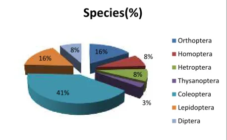 Fig. 1. Structure of the harmful entomofauna sampled from some vegetable crops of the Stationary of Amărăştii de Jos – Dolj County