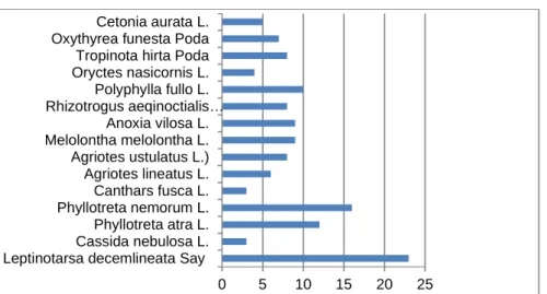 Fig. 3. Structure of the harmful species in the Coleoptera order sampled from some vegetable crops.