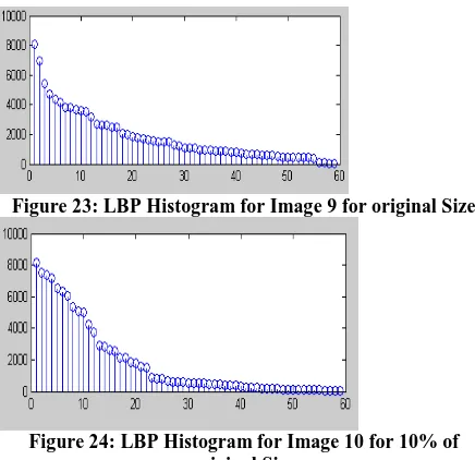 Figure 24: LBP Histogram for Image 10 for 10% of  original Size 