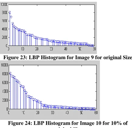 Figure 24: LBP Histogram for Image 10 for 10% of  original Size 