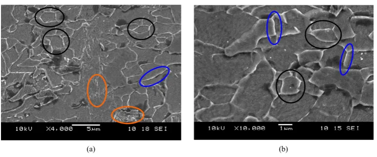 Figure 3. SEM micrographs of API 5L X80 steel in condition as received. (a) 4000X and (b) 10,000X