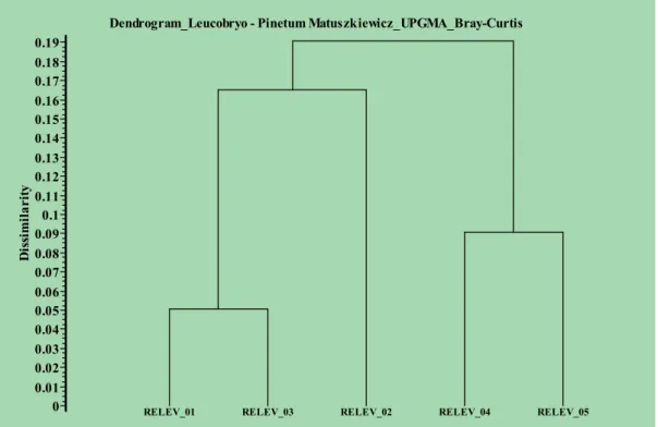 Fig 2. Dendrogram of the Leucobryo - Pinetum Matusz. 1962 plant community