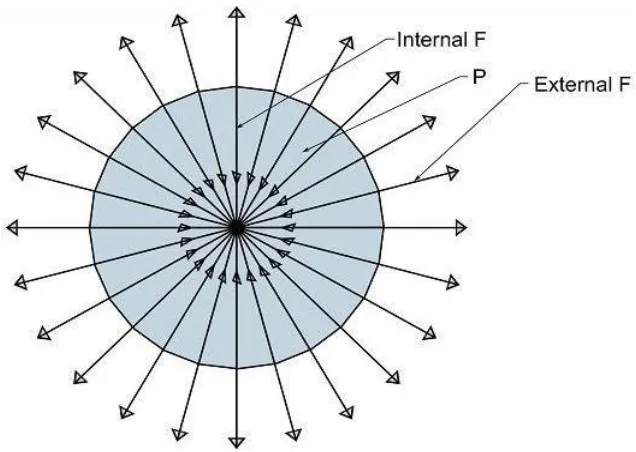 Figure 7. The source in a state of equilibrium, i.e., Fi=Fe. 