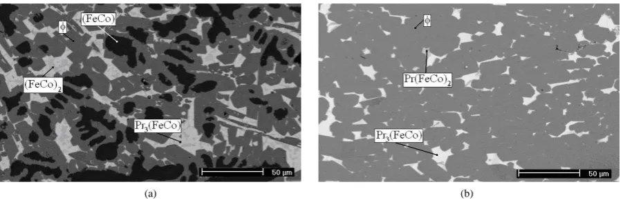 Figure 1. Backscattered electron image of the Pr14FebalCo16B6Nb0.1 alloy in the (a) as cast and (b) homogenized condition