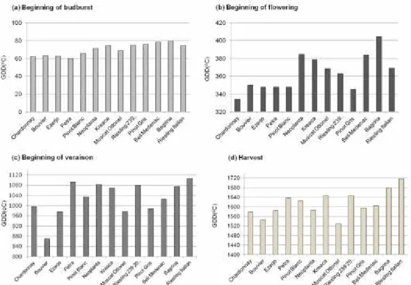 Figure 1. Thermal requirements for the main phenological stages of grapevine in the region of Sremski Karlovci (1986–2007)