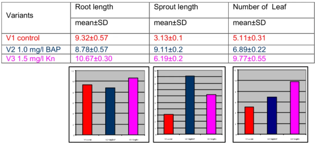 Table 1.3 The influence of different concentration of hormones on growth of the root,  sprout and leaf  in vitro for Mentha piperita L period I(30 days) 