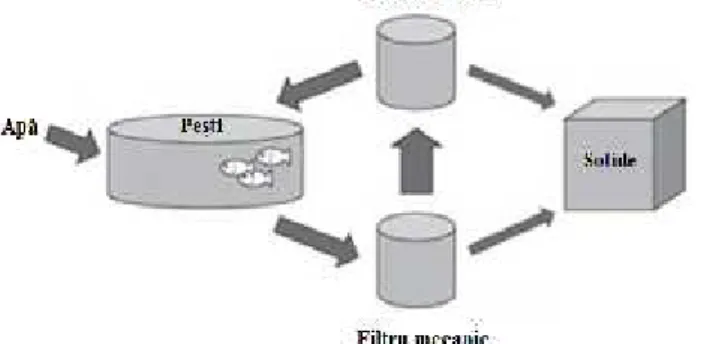 Fig. 1. The main equipment for water reconditioning in the RAS [23]
