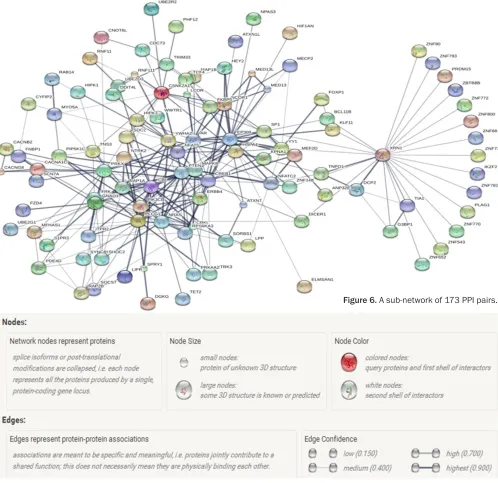 Figure 6. A sub-network of 173 PPI pairs.