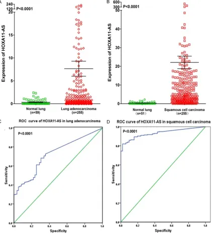 Figure 7. Differential expression and ROC curve of HOXA11-AS in lung adenocarcinoma and squamous cell carci-noma based on The Cancer Genome Atlas (TCGA) database