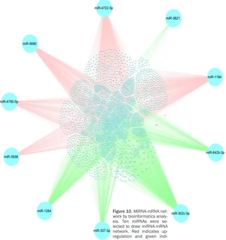 Figure 10. MiRNA-mRNA net-work by bioinformatics analy-