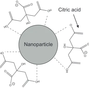Figure 2. Representation of a citric acid stabilised nanoparticle. 