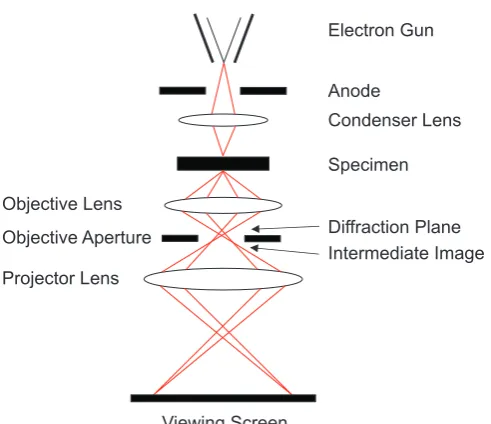Figure 5. Diagrammatic representation of an electron beam passing down the 