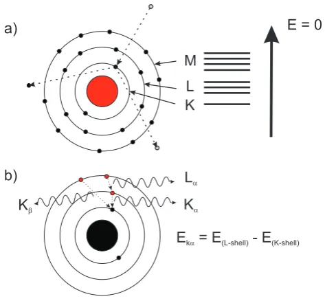Figure 9b). 