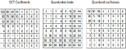 Fig 1: The operation of adapting and JPEG in lossy sequential mode.