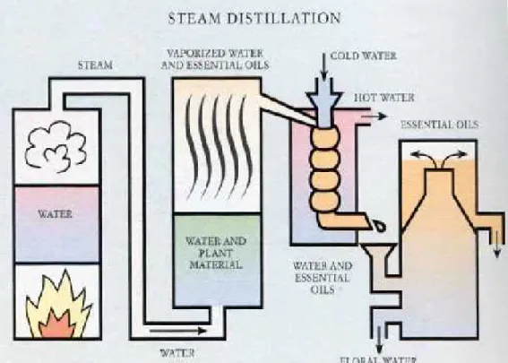 Fig. 4. Steam distillation process, [14]
