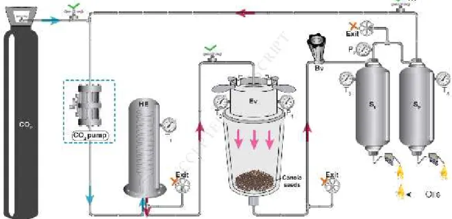 Fig. 6. Supercritical CO2 pilot scale equipment