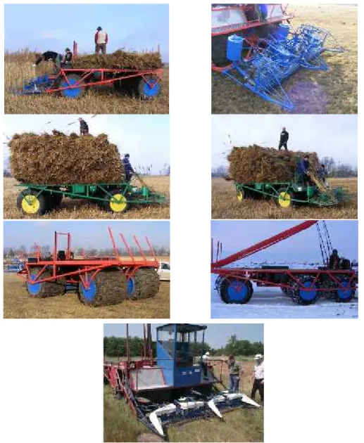 Fig. 2 - SEIGA 4x4; 6x6 reed harvesting machine [3]