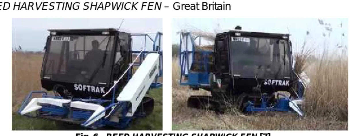 Fig. 6 - REED HARVESTING SHAPWICK FEN [7]