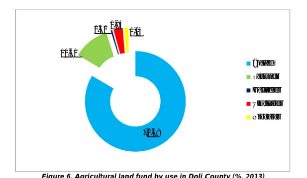 Figure 6. Agricultural land fund by use in Dolj County (%, 2013)