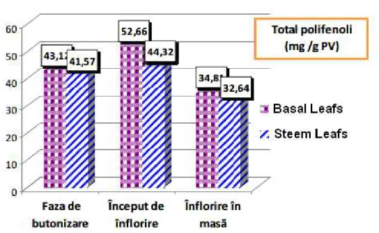 Fig. 6 - The accumulation dynamics of polifenolic components from artichoke leafs