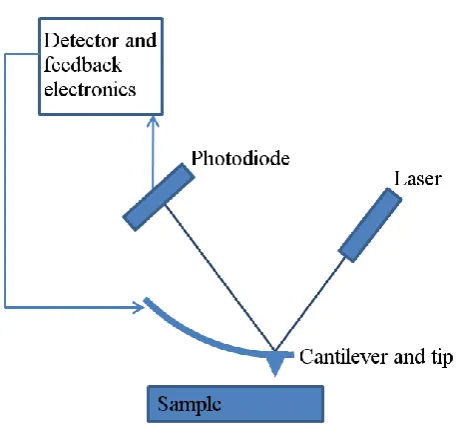 Figure 2.16: Schematic of AFM showing the beam deflection system, using a laser and detector to 