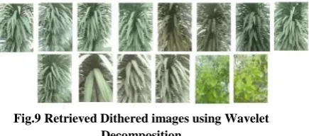 Fig.10 Retrieved YIQ images using Wavelet Decomposition 