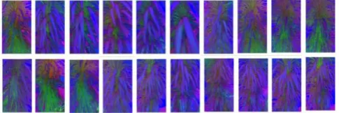 Fig.12 Retrieved HSV images using DCT Transform  
