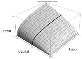 Figure 3. A two-input Cobb–Douglas production function [29]. 