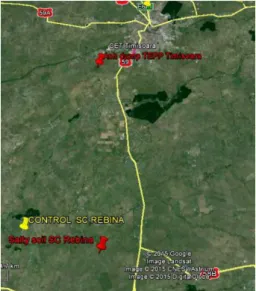 Figure 1 Location of the experiment: Control Ghilad, Salty soil Ghilad, ash pond Timisoara