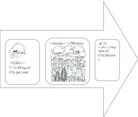 Figure 2. Illustration of conversion in this research 