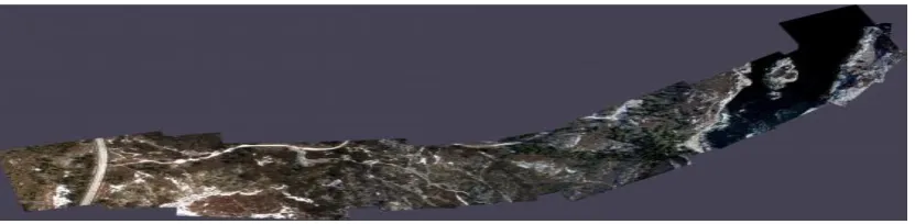 Fig. 8: Mosaic7 from video mosaicing using Wexler’s method 