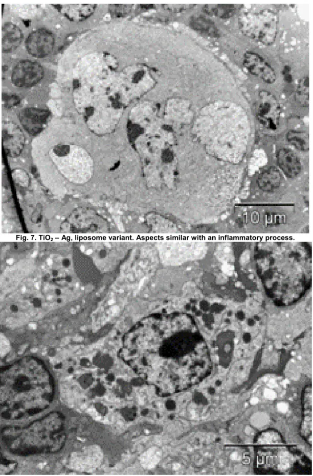 Fig. 7. TiO 2  – Ag, liposome variant. Aspects similar with an inflammatory process. 