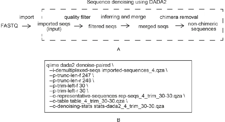Fig. 2 Sequence denoising procedure for paired-end amplicon using DADA2. (A) The 