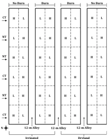 Figure 1. Experimental layout at the Lon Mann Cotton Branch Experiment Station in eastern Arkansas depicting 48, 3- × 6-m plots under residue-level [high (H) and low (L)], burn, tillage [conventional tillage (CT) and no-tillage (NT)], and irriga-tion treat