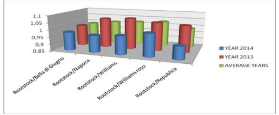 Fig. 2. – Compatibility varieties of pear with quince rootstock 
