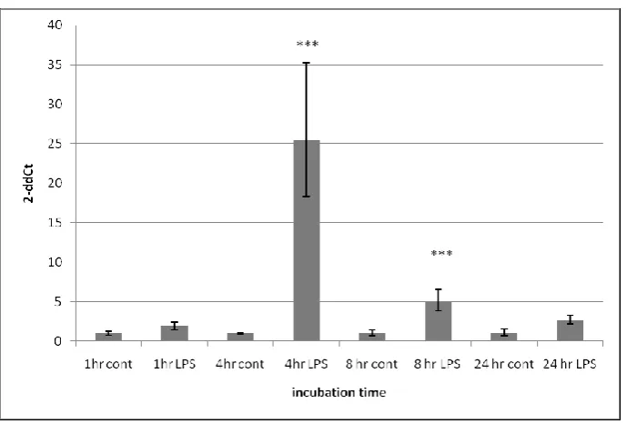 Figure 16: Graphs depicting the fold change of IL-6 gene expression in 3T3-L1 adipocytes following treatment with LPS (1-10 μg/ml) for 4 or 24 hours