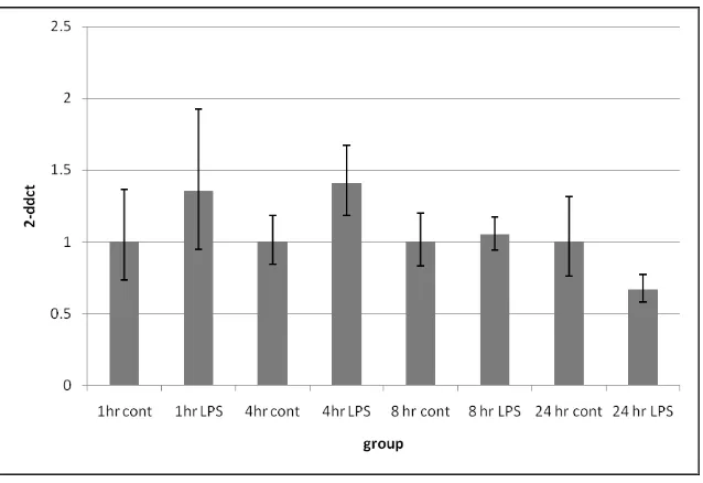 Figure 17: Adiponectin gene expression in 3T3-L1 adipocytes following 0.1 µg/ml LPS treatment for 