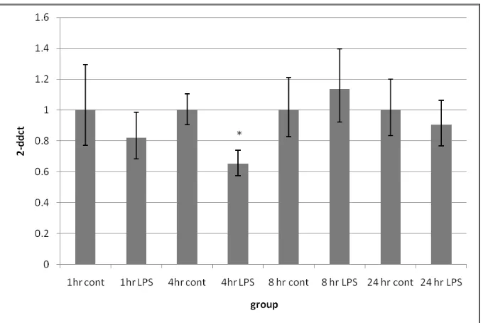 Figure 19: AdipoR1 gene expression in 3T3-L1 adipocytes following 0.1 µg/ml LPS treatment for up to 24 hours 