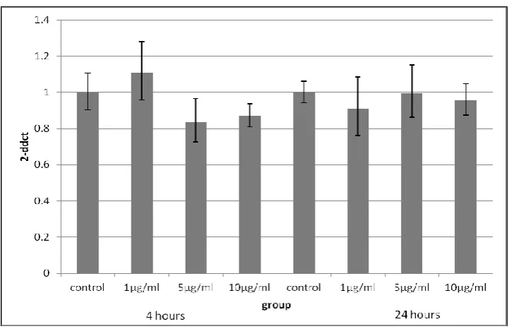 Figure 21: AdipoR1 gene expression in 3T3-L1 adipocytes following 1-10 µg/ml LPS treatment for 4 and 24 hours 