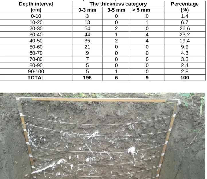 Figure 1.Root allotment on the depth intervals placed at 1m from the trunk 