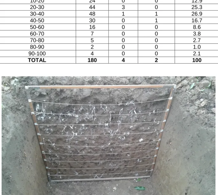 Table 3  Root allotment on the depth intervals placed at 2m from the trunk 
