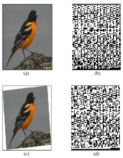 Fig 5. Demostration of Authentication System for rotated Images (a) original image of bird (b) image digest of original image (c) image with (-10◦,10◦) rotation (d) image 