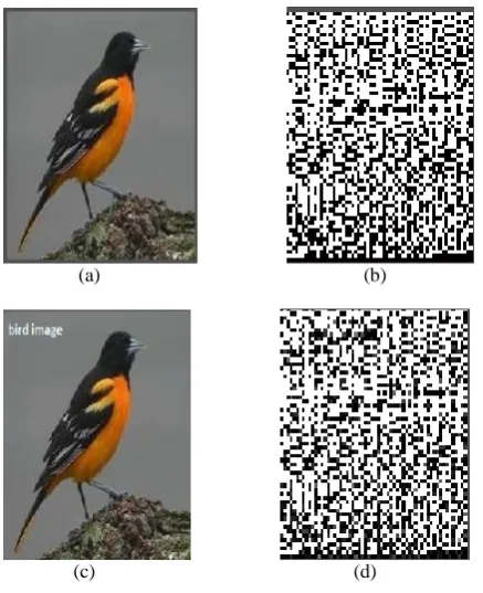 Fig 8. Demonstration of Authentication System for tampering localization Images, here (a) original Image of 